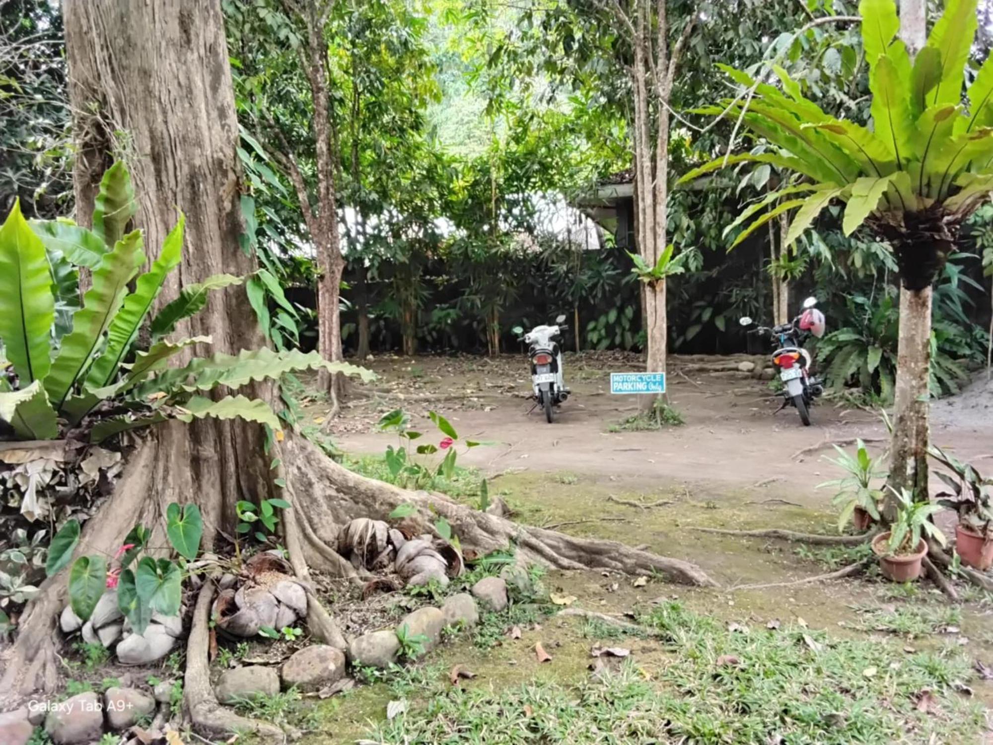 Camiguin Lanzones Resort Mambajao 外观 照片