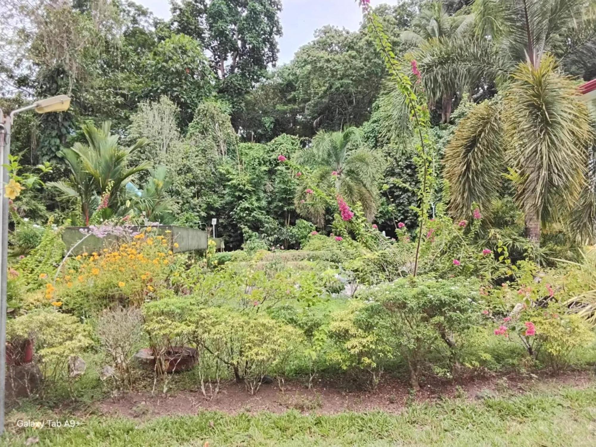 Camiguin Lanzones Resort Mambajao 外观 照片