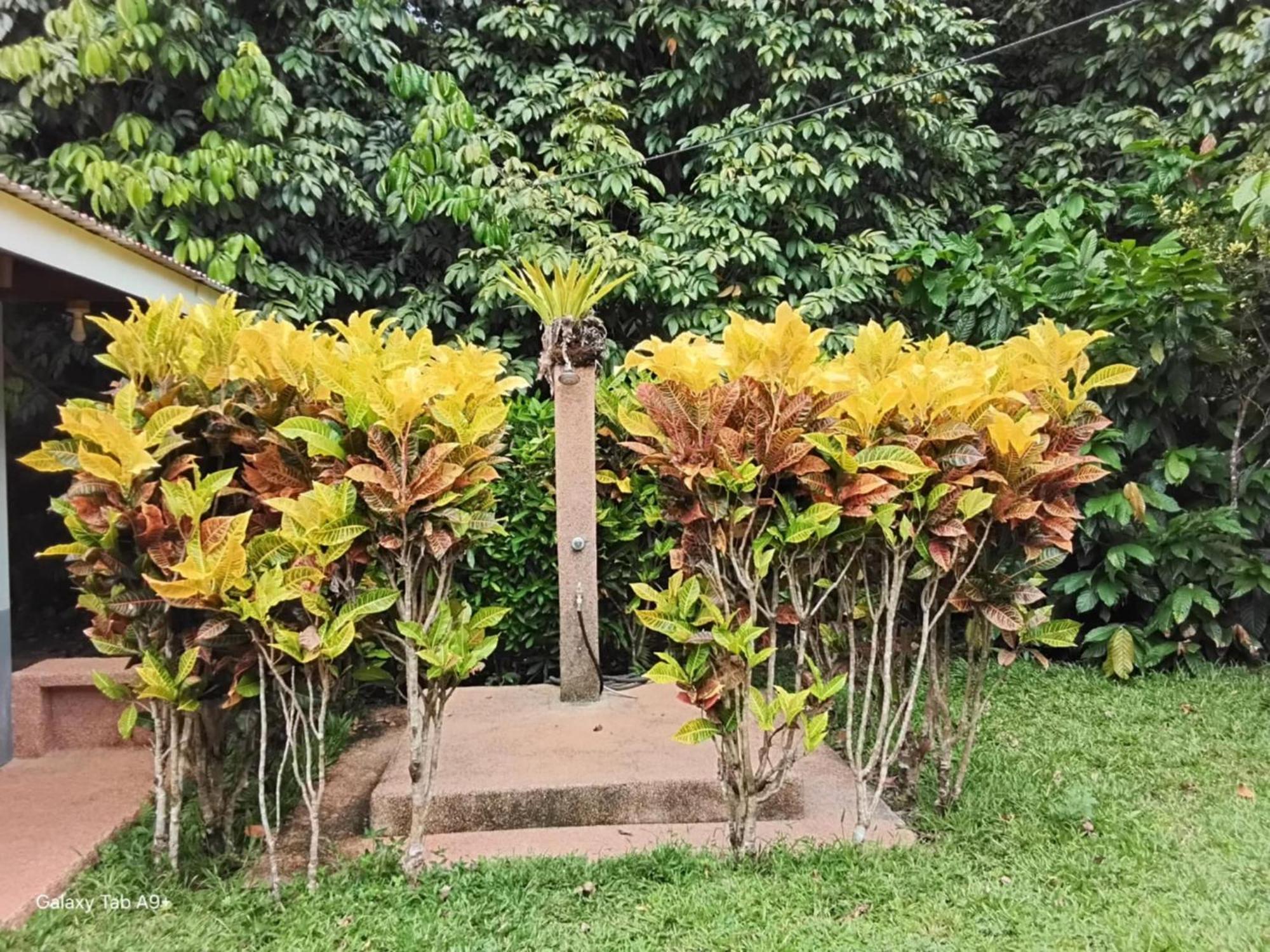 Camiguin Lanzones Resort Mambajao 外观 照片