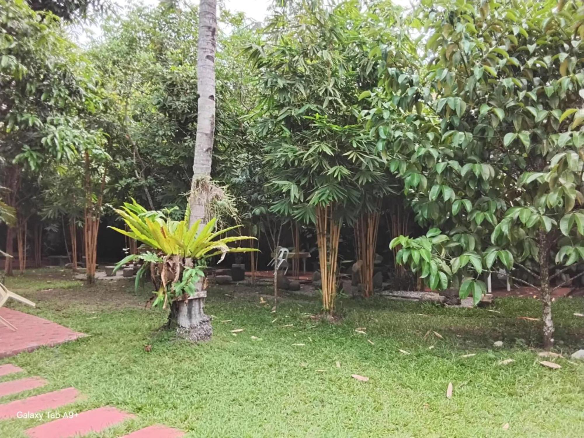 Camiguin Lanzones Resort Mambajao 外观 照片