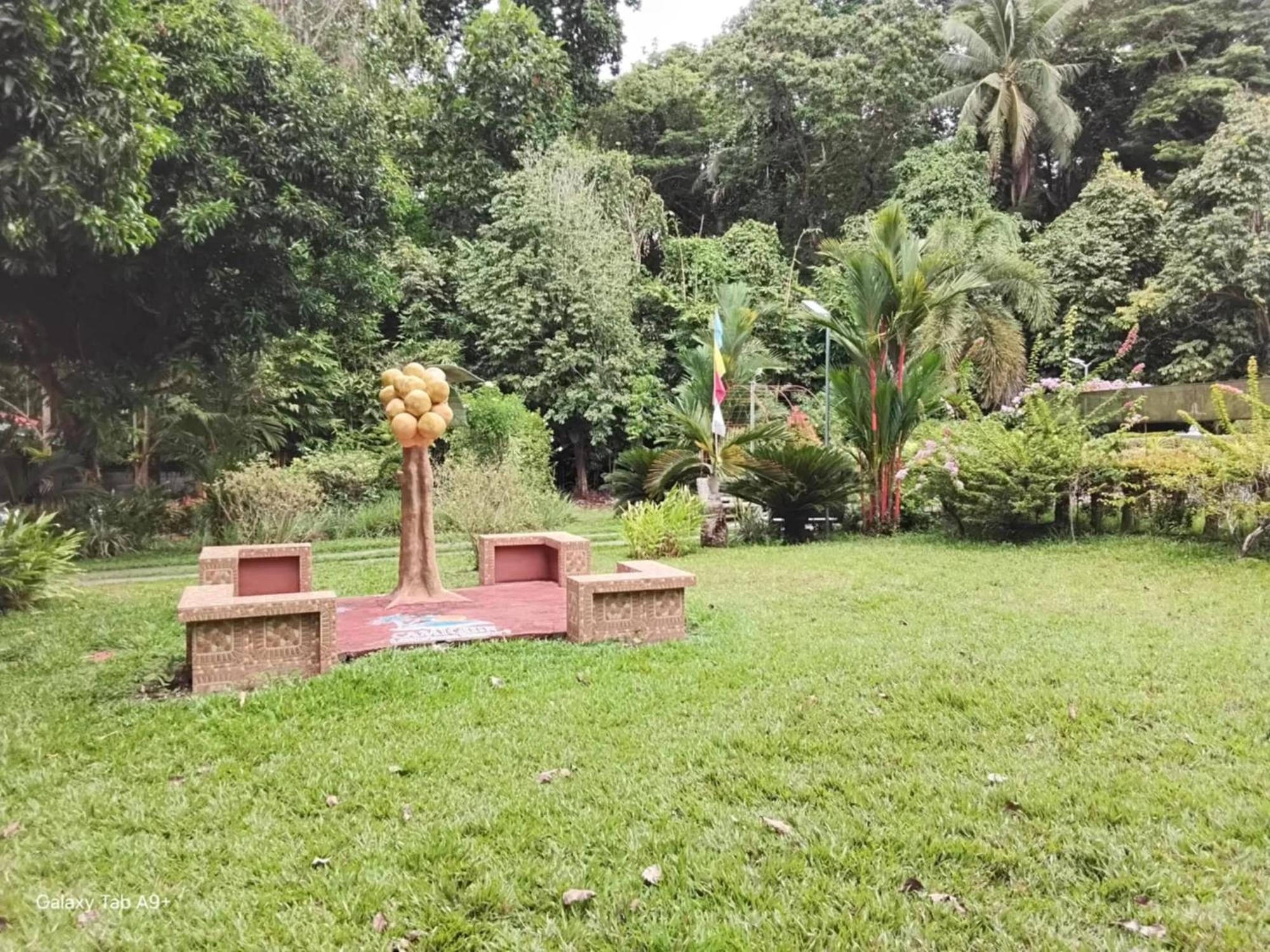 Camiguin Lanzones Resort Mambajao 外观 照片