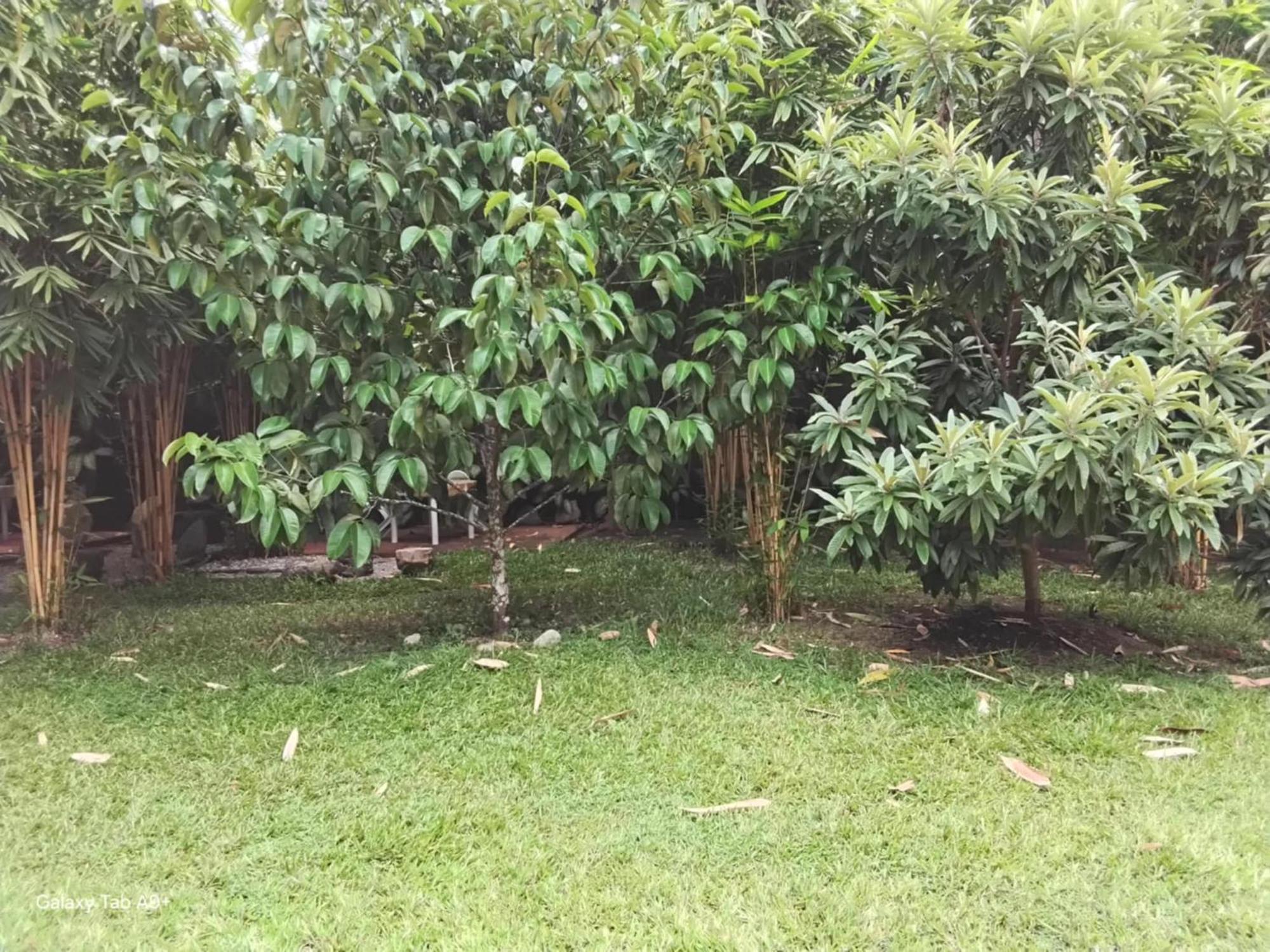 Camiguin Lanzones Resort Mambajao 外观 照片