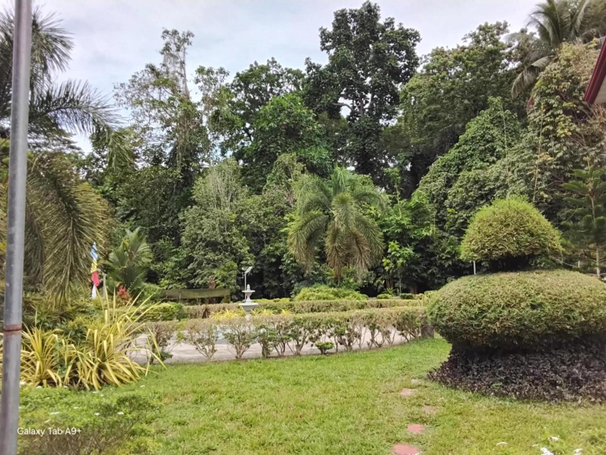 Camiguin Lanzones Resort Mambajao 外观 照片
